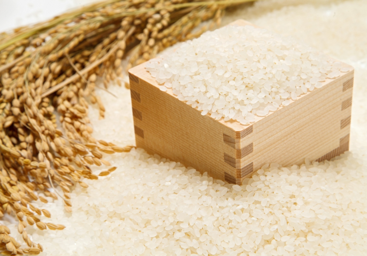 米麦施設機器設置